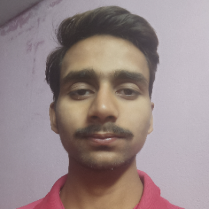 Aaditya Kumar-Freelancer in Gurugram,India