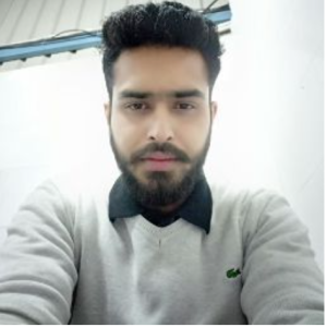 Sahil Thakur-Freelancer in Faridabad,India