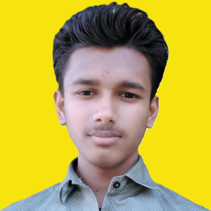 Sunil Kumar-Freelancer in Ahmedabad,India