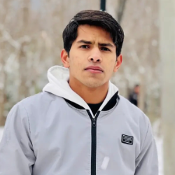 Khizar Hayat-Freelancer in XIAN,CHINA,Pakistan