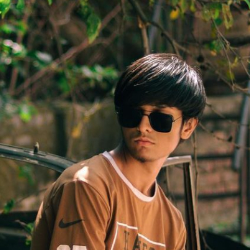 Tanishk Somvanshi-Freelancer in Benarwith Daulatpura,India
