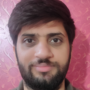 Vikash Kumar-Freelancer in Delhi,India
