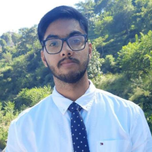 Samarth Attri-Freelancer in Chandigarh,India