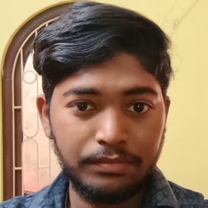 Avinandan Sur-Freelancer in Kolkata,India