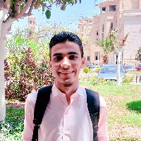 Mohammed Naeem-Freelancer in Cairo,Egypt