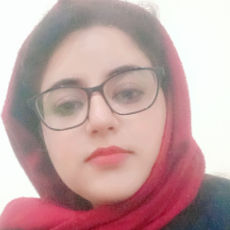 Abbasi Maria-Freelancer in Islamabad,Pakistan