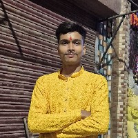 Niteesh Dubey-Freelancer in Noida,India