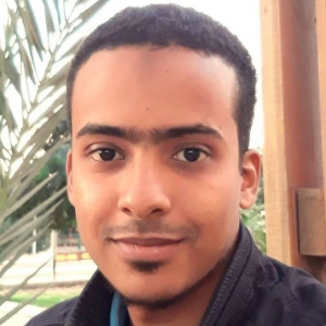 Mohamed Ahmed-Freelancer in Cairo,Egypt