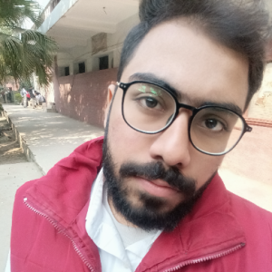 Muhammad Hussnain-Freelancer in Lahore,Pakistan