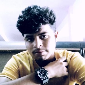 Abhay Pratap Singh-Freelancer in Gwalior,India
