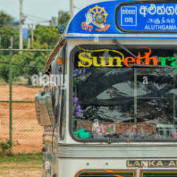 Uthaya Chandru-Freelancer in chilaw,Sri Lanka