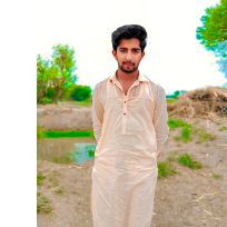 Muhammad Mudsar-Freelancer in Hasilpur,Pakistan