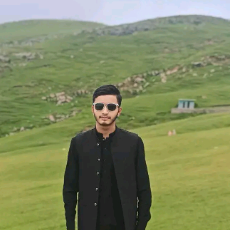 Mahooz Ali-Freelancer in Bagh,Pakistan