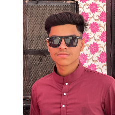 Noman Raza-Freelancer in Rajsamand,India