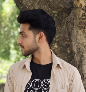 Mayank Dhaniya-Freelancer in Chandigarh,India