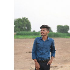 Chaudhary Haresh J.-Freelancer in Visnagar,India