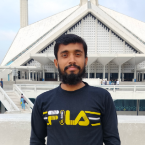 Muhammad Hamza-Freelancer in Faisalabad,Pakistan