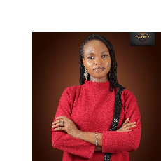 Sylvia Onyekwere-Freelancer in Ankuru,Nigeria