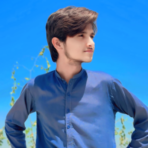 Mubeen Ali-Freelancer in Layyah,Pakistan