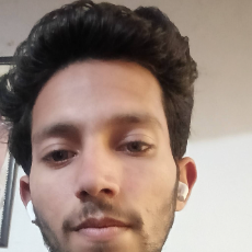 Ashish Shindholiya-Freelancer in Meerut,India