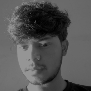 Sundaram Kumar-Freelancer in Banglore,India