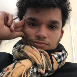Meddi Ali-Freelancer in Blida,Algeria