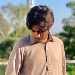 Rehman Hamid-Freelancer in Faisalabad,Pakistan