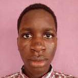 Adebisi Adeola-Freelancer in Ibeju Lekki,Nigeria