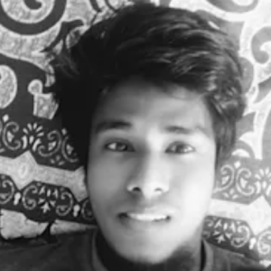 Yeasir Arafat-Freelancer in Gayabari,Bangladesh