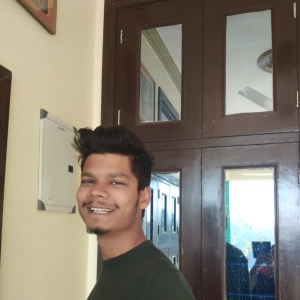 Mehul Singh-Freelancer in Chennai ,India