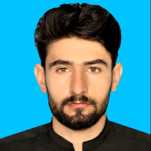 Ayat_Data Entry-Freelancer in Herat,Afghanistan