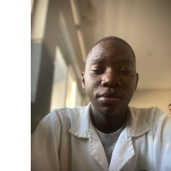 Cleber Capemba Marques Chaho-Freelancer in Luanda,Angola