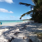 Divesh-Freelancer in Quartier-Militaire,Mauritius