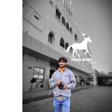 Vijayraj Singh Sisodiya-Freelancer in Pratapgarh,India