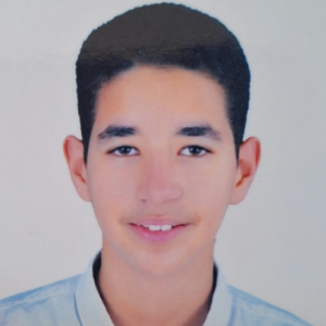 Moustafa266-Freelancer in Banha,Egypt