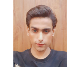 Ansari Adnan-Freelancer in Bhiwandi,India