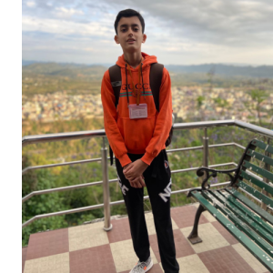 Arnav Tomer-Freelancer in Saharanpur,India