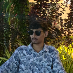 Jainesh Patel-Freelancer in Anand,India