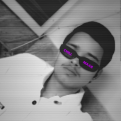 Farhan khilji-Freelancer in Bikaner,India