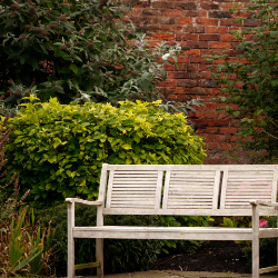 Hajra bibi-Freelancer in islamabad,Pakistan