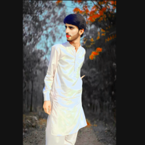 Malik Anees-Freelancer in Faisalabad,Pakistan