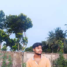 Mohammad Siyam-Freelancer in Dhaka,Bangladesh