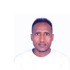 Istifanos Lulu-Freelancer in Ambo,Ethiopia