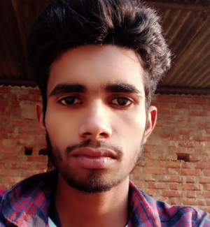 Vishal Yadav-Freelancer in Chennai,India