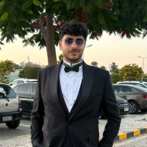 Mostafa Abdelmomen-Freelancer in Alexandria,Egypt