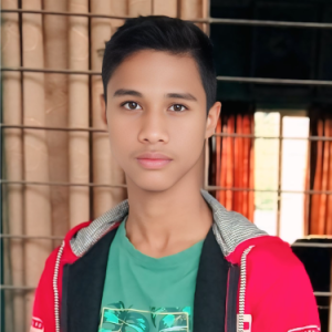 Md Anarul Islam-Freelancer in Kabirpur,Bangladesh