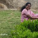 Sreeja-Freelancer in Bengaluru,India
