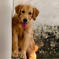 Arundhathi-Freelancer in Thiruvananthapuram,India