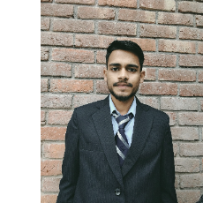 Ritik Raj-Freelancer in Central Hope Town,India