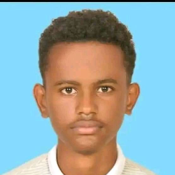 Natnael Tamirat-Freelancer in Addis Ababa,Ethiopia